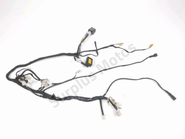 Faisceau electrique occasion BETA RR 50 SUPER MOTARD 2023