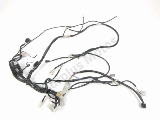 Faisceau electrique occasion RIEJU MRT 2025