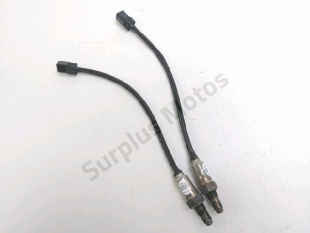 Sonde lambda occasion TRIUMPH TRIDENT 2025