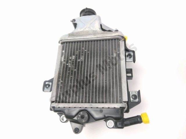Radiateur eau occasion HONDA NSS 125 FORZA 2020