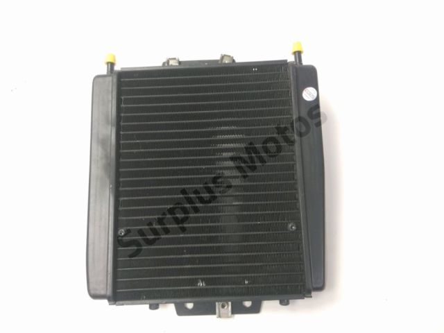 Radiateur eau occasion PIAGGIO MP3 350 2018