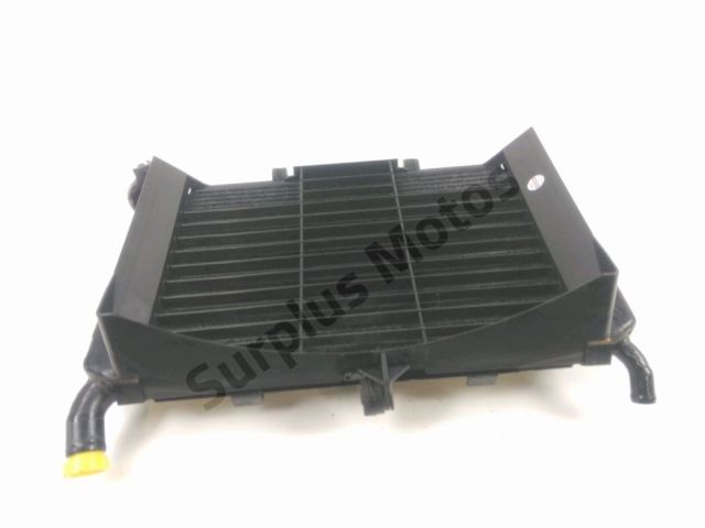 Radiateur eau occasion YAMAHA XJ6 600 N 2009