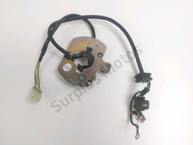 Capteur allumage occasion SUZUKI GSF 600 BANDIT 2002