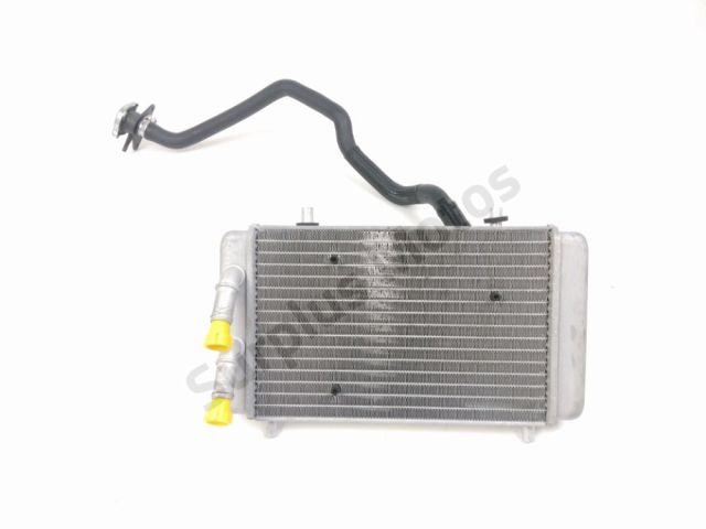 Radiateur eau occasion YAMAHA YP 125 X-MAX 2019