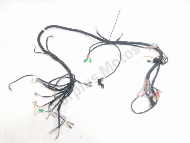 Faisceau electrique occasion TYM TYM''M 2023