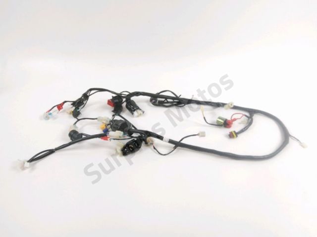 Faisceau electrique occasion SCORPA FACTORY RACING 12 2025