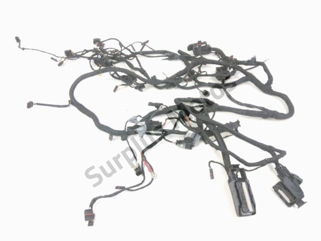 Faisceau electrique occasion BMW K 1300 S 2009