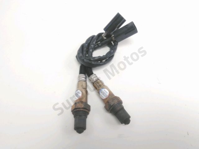 Sonde lambda occasion CF MOTO Z FORCE SPORT 2021