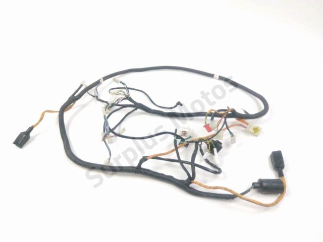 Faisceau electrique occasion TILGREEN TILSCOOT RS 2022