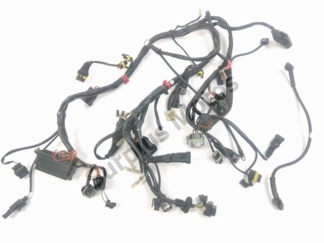 Faisceau electrique occasion DUCATI 900 MONSTER 2000