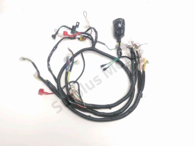 Faisceau electrique occasion IMF NEW PACH 2024