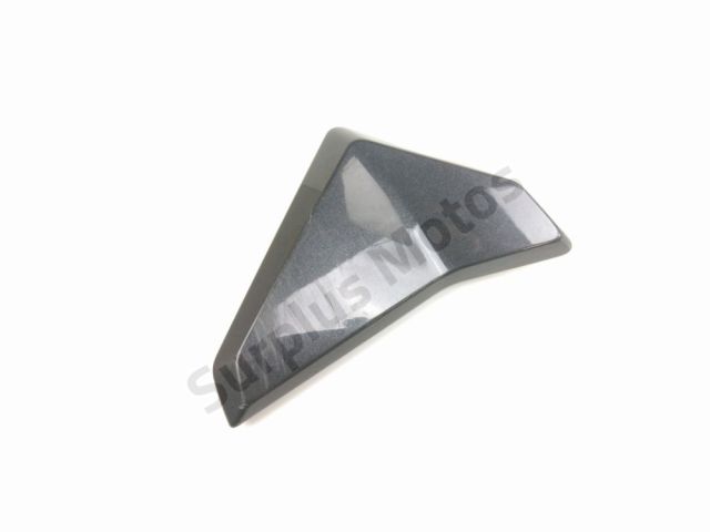 Flanc carenage droit occasion TRIUMPH STREET TRIPLE RS 2024