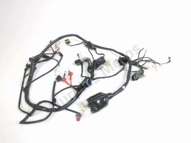 Faisceau electrique occasion IMF GECKO 2023