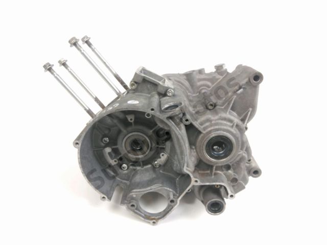 Carter moteur occasion RIEJU NAKED 2018