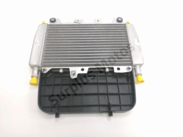 Radiateur eau occasion PIAGGIO X10 125 2013
