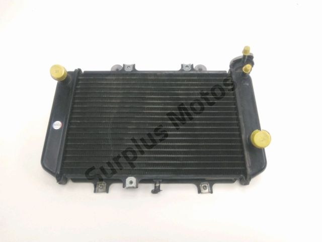 Radiateur eau occasion BMW G 310 R ABS 2022