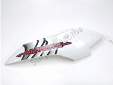 Carenage arriere gauche