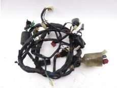 Faisceau electrique