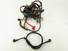 Faisceau electrique