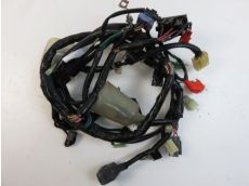 Faisceau electrique