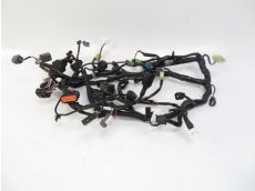 Faisceau electrique