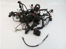 Faisceau electrique