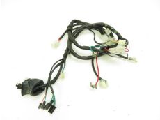 Faisceau electrique