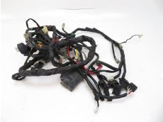 Faisceau electrique