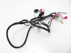 Faisceau electrique