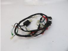 Faisceau electrique