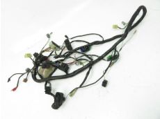 Faisceau electrique
