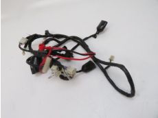 Faisceau electrique