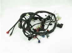 Faisceau electrique
