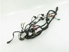 Faisceau electrique