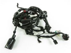Faisceau electrique