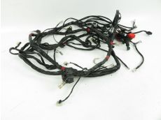 Faisceau electrique