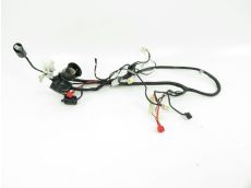 Faisceau electrique