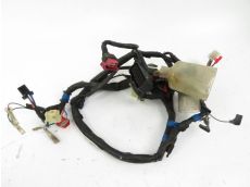 Faisceau electrique