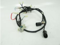 Faisceau electrique