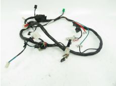 Faisceau electrique