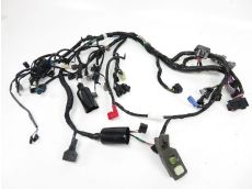 Faisceau electrique