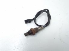 Sonde