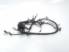 Faisceau electrique