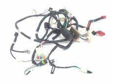 Faisceau electrique