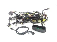 Faisceau electrique