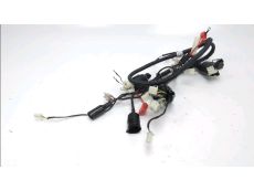 Faisceau electrique