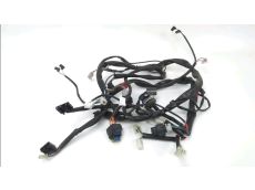 Faisceau electrique