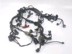 Faisceau electrique
