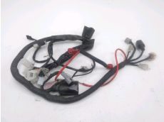 Faisceau electrique