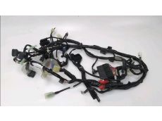 Faisceau electrique